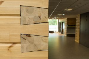 Pudasjärvi Log Campus is built out of Nordic Pine.