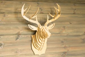 Arctic Glass House – Lappish Design.